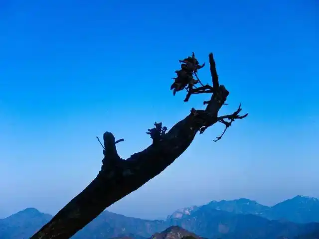 优酷土豆合并_视频行业历史_优酷6网