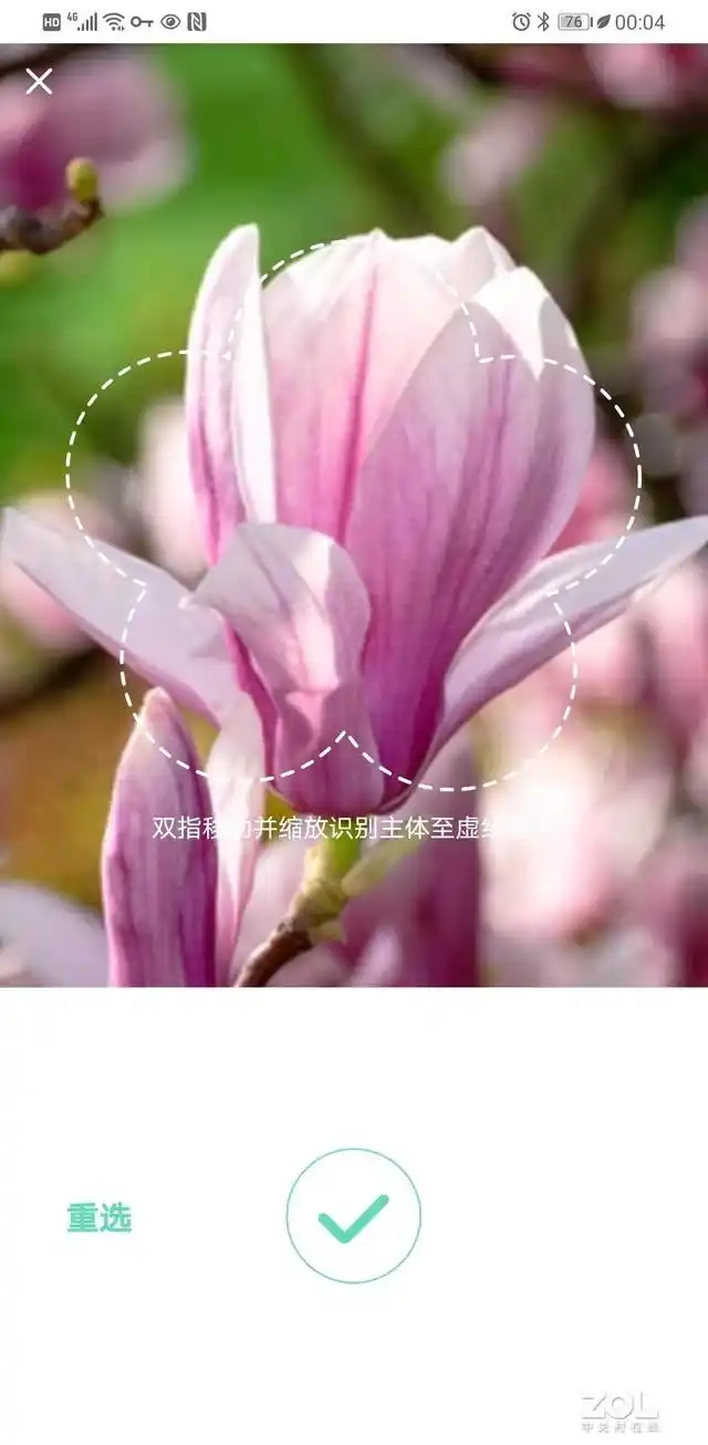 形色植物识别_什么软件可以知道植物名称_花伴侣植物百科