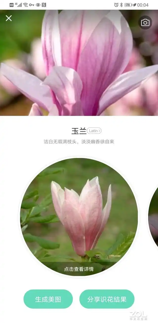 什么软件可以知道植物名称_花伴侣植物百科_形色植物识别