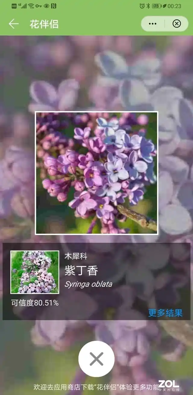 花伴侣植物百科_什么软件可以知道植物名称_形色植物识别